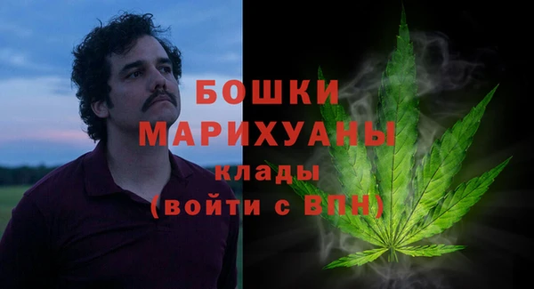 шишки Апатиты