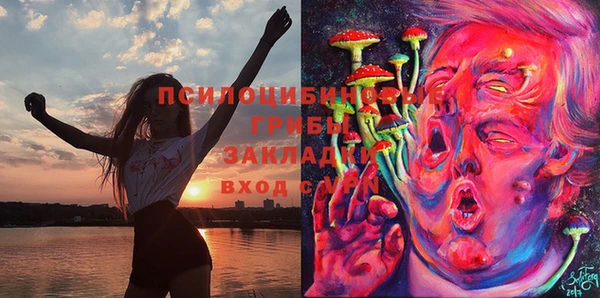 бутират Михайловка