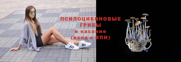 стаф Анива