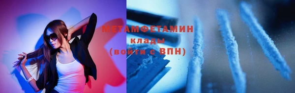 прущие грибы Анжеро-Судженск