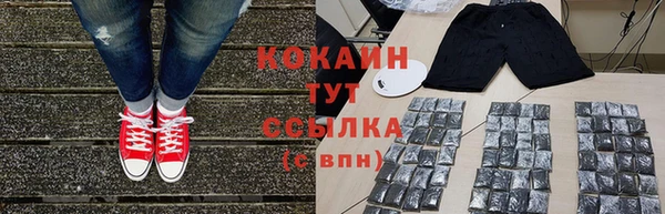 прущие грибы Анжеро-Судженск